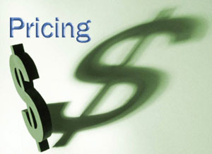 Web site hosting pricing